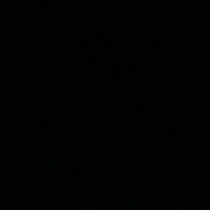 Meet your Posher, Jayla